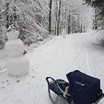 Séjour chez l'habitant Szymonowka W Szklarskiej Porebie Szklarska Poreba