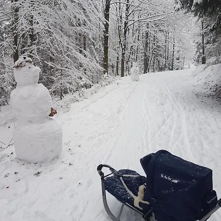 民宿 Szymonowka W Szklarskiej Porebie 斯克拉斯卡波伦巴