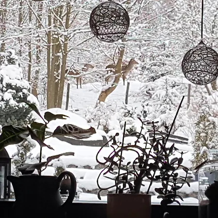 Szymonowka W Szklarskiej Porebie 民宿