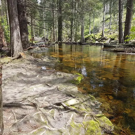 民宿 Szymonowka W Szklarskiej Porebie *