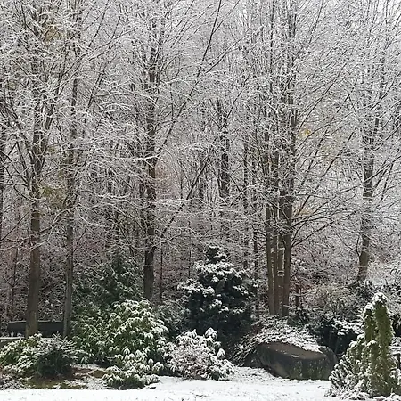 Szymonowka W Szklarskiej Porebie 民宿 *