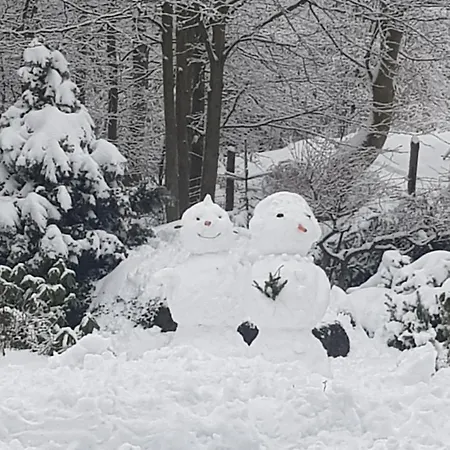 Szymonowka W Szklarskiej Porebie * 斯克拉斯卡波伦巴