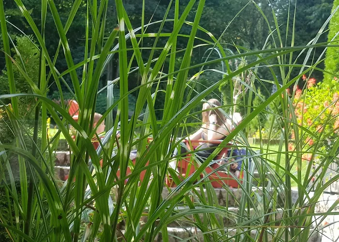 Privatunterkunft Szymonowka W Szklarskiej Porebie *