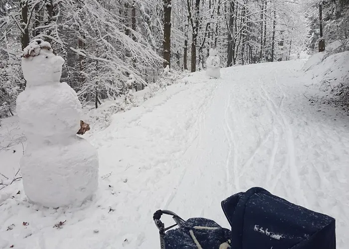 Privatunterkunft Szymonowka W Szklarskiej Porebie Schreiberhau