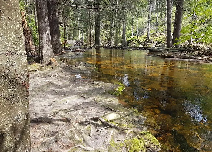 Privatunterkunft Szymonowka W Szklarskiej Porebie *